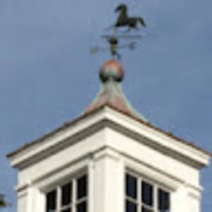 Meet your Posher, Alison